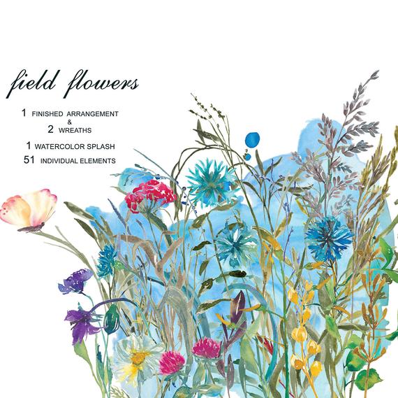 570x569 Watercolor Field Flowers Clipart Floral Composition And Etsy