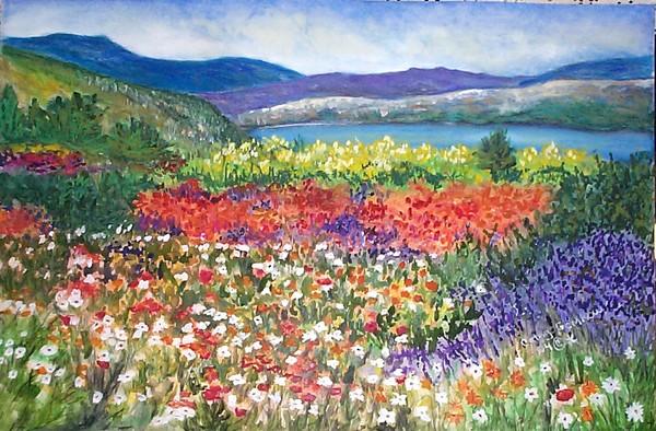 600x394 Field Of Flowers By Cathy Gemkow