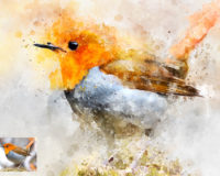 200x160 Learn How To Create A Night Effect In Photoshop Entheos