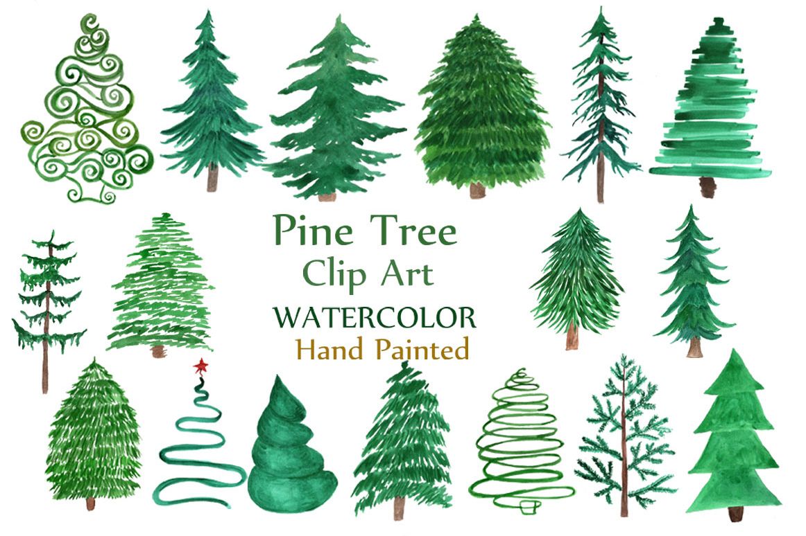 1162x774 Watercolor Pine Trees Clipart