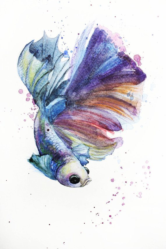 570x855 Print Of Watercolor Fish Illustration Fish Betta Art Betta Etsy