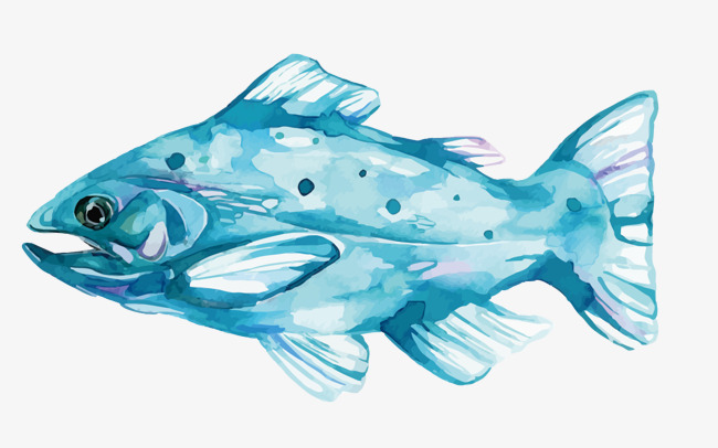 650x406 Vector Watercolor Fish, Watercolor Vector, Fish Vector, Watercolor
