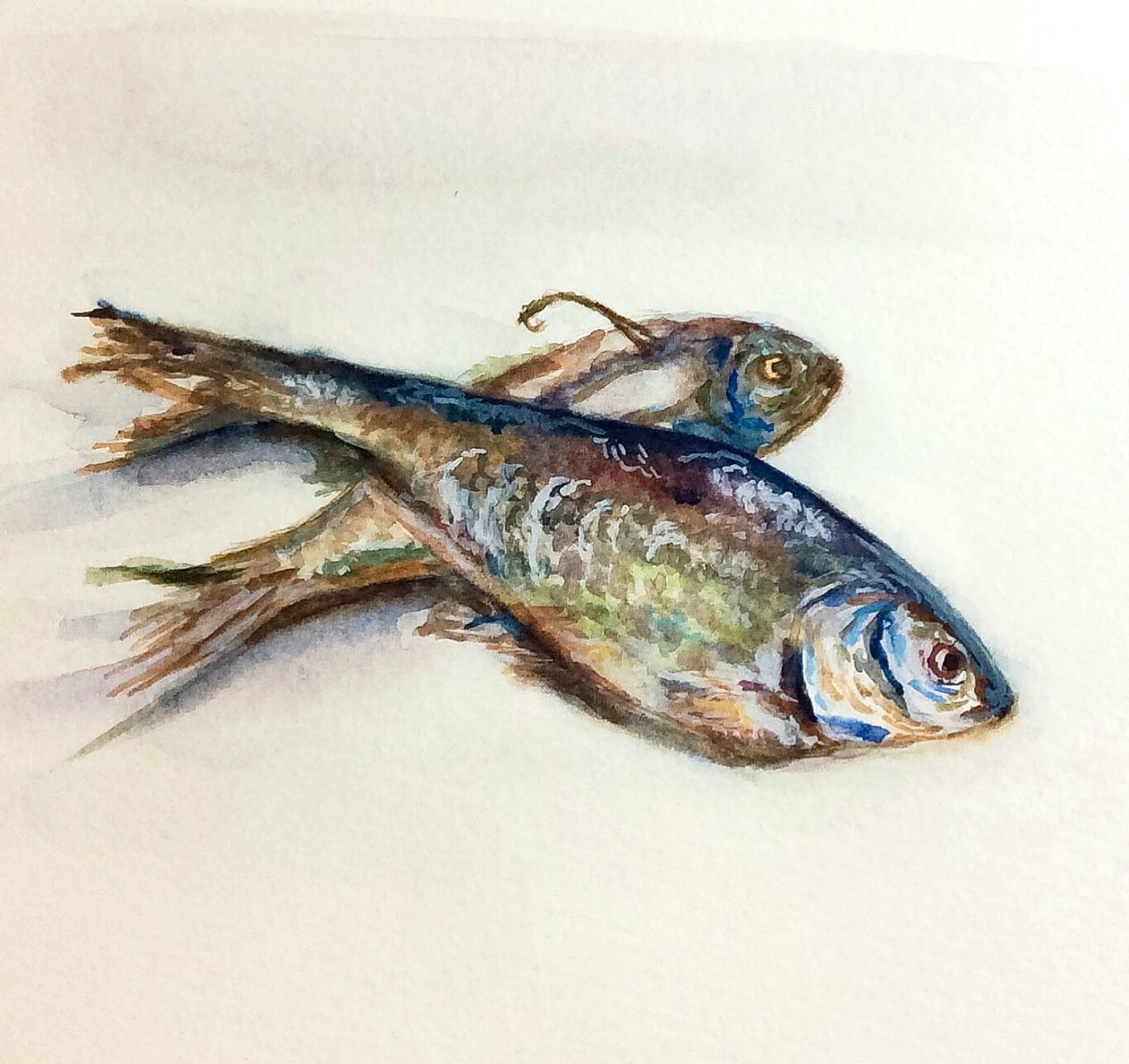 1920x1810 How To Paint Fish In Watercolors (Stilllife Painting)