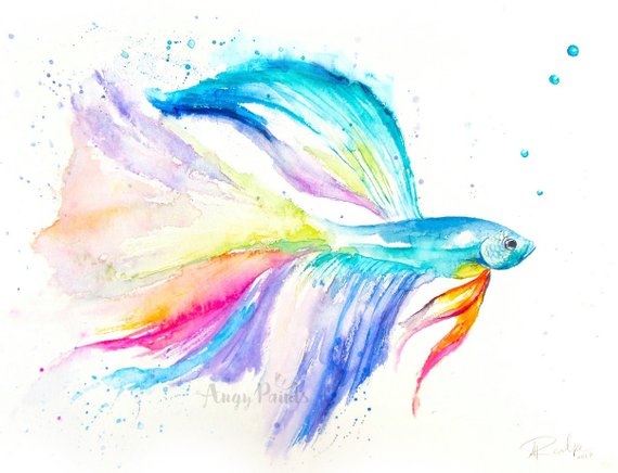 570x436 Betta Fish Watercolor Art Original Artwork Original Etsy