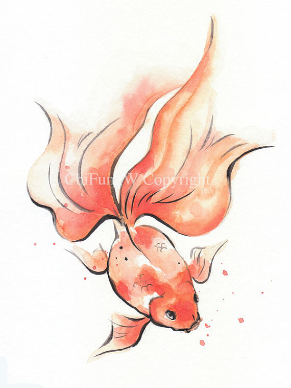570x759 Japanese, Japanese Type Watercolor, Fish, Gold Fish, Sumie