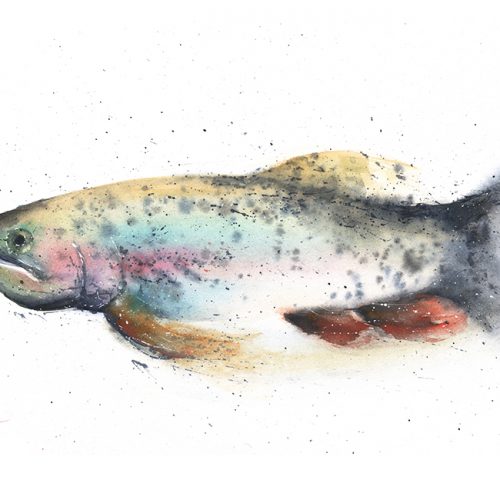 500x500 Lion Fish Original Watercolor Painting Watercolor Animal Paintings