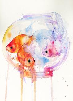 236x325 216 Best Watercolor Fish Images Drawings, Fish