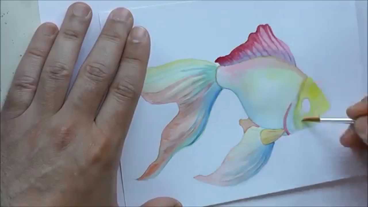 1280x720 Watercolor Fish
