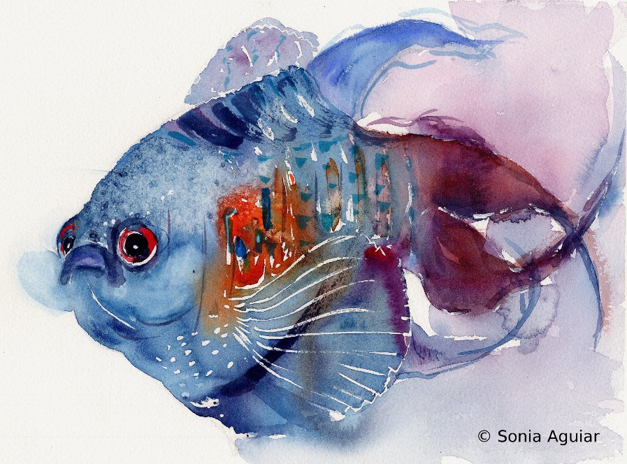 897x664 Animal Art Watercolor