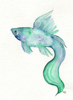 Watercolor Fish Images