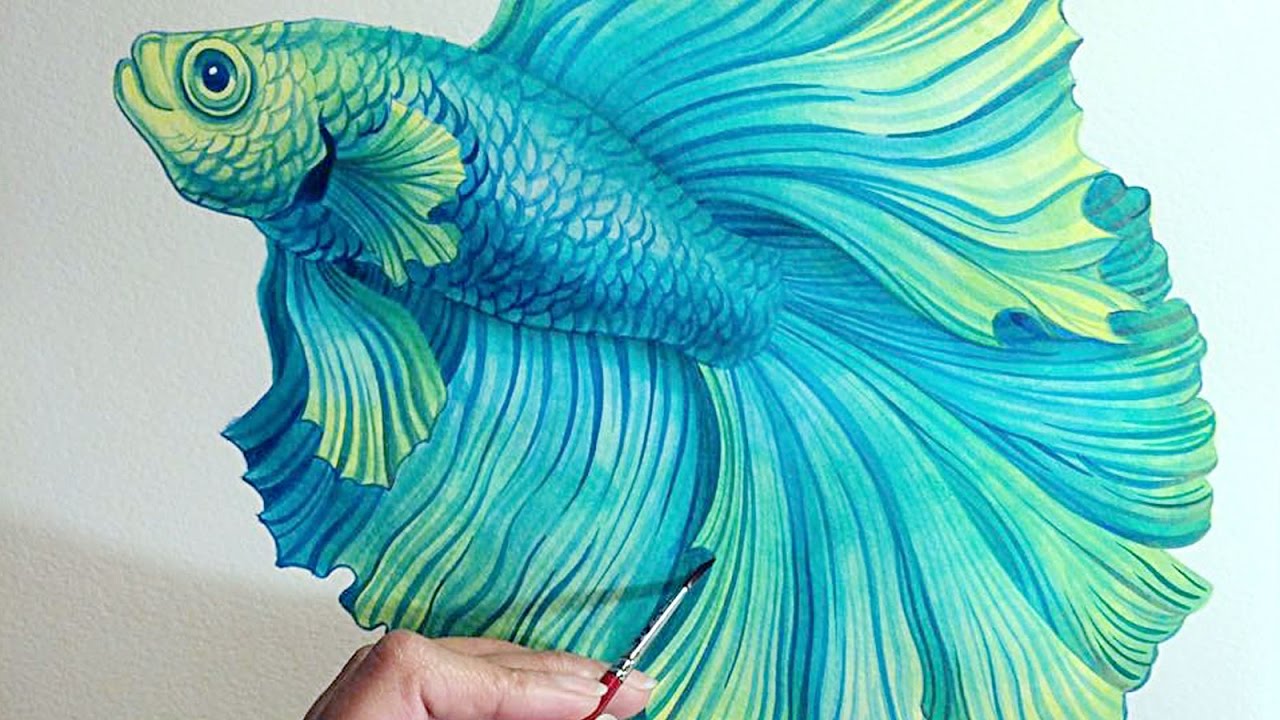 1280x720 Betta Splendens Watercolour Painting