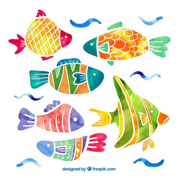 626x626 Collection Of Fish In Watercolor Effect Vector Free Download
