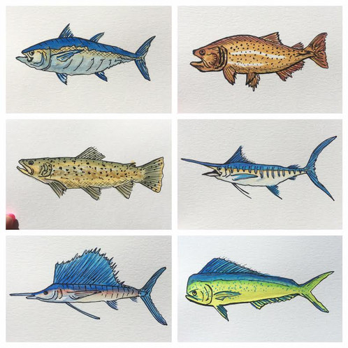 498x498 Watercolor Fish