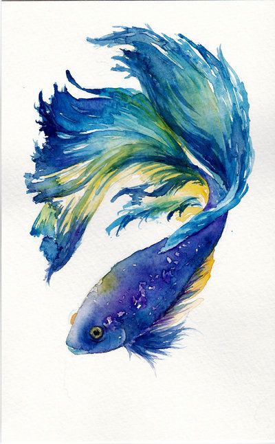 400x646 Anyone Want A Fight(Ing Fish) By Lexess Watercolour