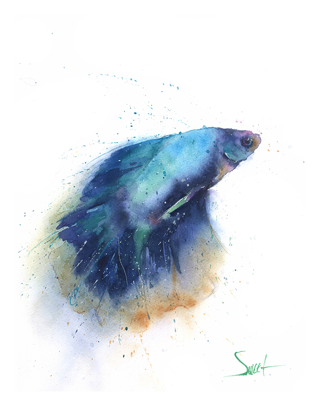 650x827 Betta Fish Original Watercolor Painting Watercolor Animal Paintings