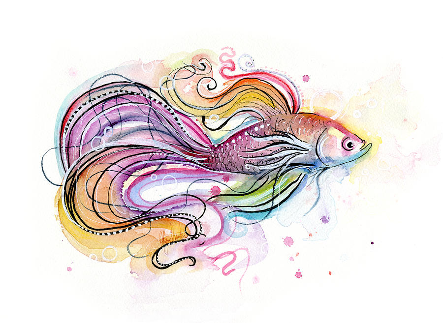 900x657 Betta Fish Watercolor Painting By Olga Shvartsur