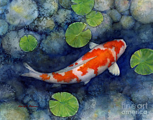 300x235 Koi Fish Watercolor Paintings Fine Art America