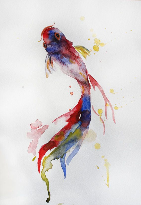 570x827 Pin By Pam Panuto On Lovely Koi, Watercolor And Fish