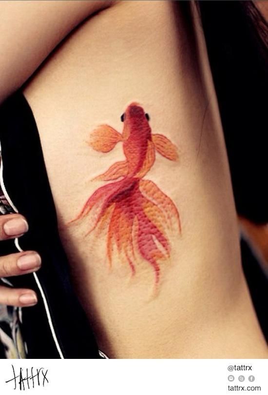 550x810 Koi Is A Very Common Fish In Japanese And Chinese Legends And Most