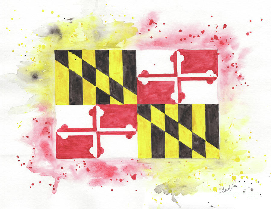 900x695 Maryland Flag In Watercolor Painting By Caroline Serafinas