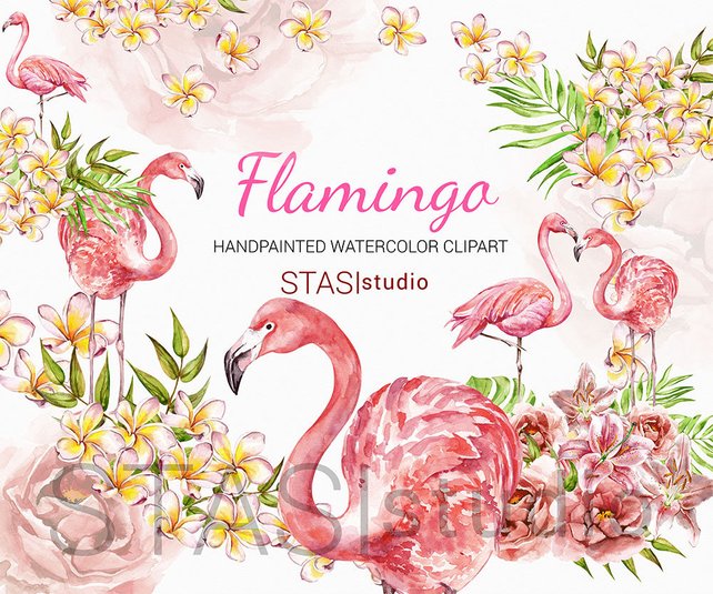 642x535 Watercolor Flamingo Clipart Frangipani Flowers Plumeria Etsy