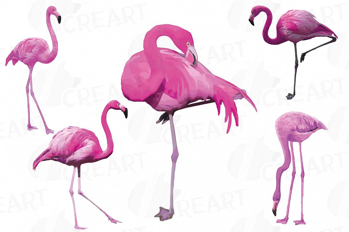 1200x800 Watercolor Flamingos Clipart. Tropical Design Bundles