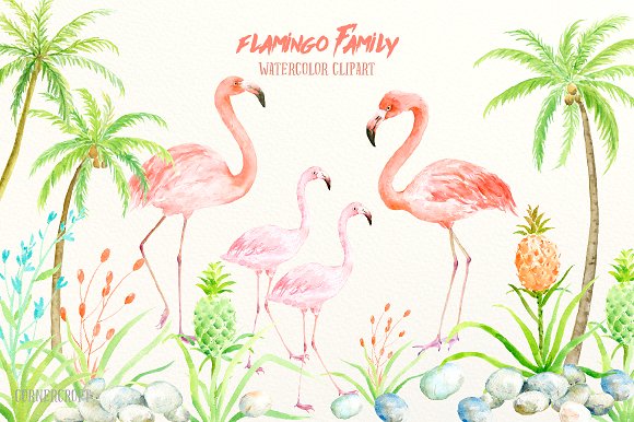 580x386 Flamingo Clipart Watercolor 6