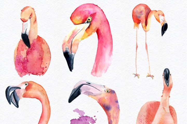 720x479 Watercolor Flamingo Clipart Tropical Summer Set. Vol.2 By
