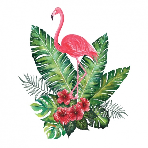 626x626 Flamingo Vectors, Photos And Psd Files Free Download