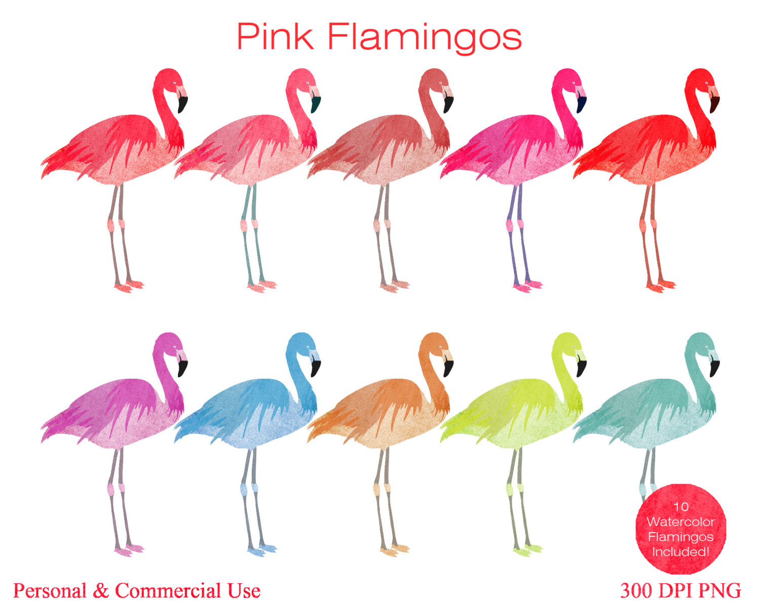1500x1201 Flamingo Clipart Coral ~ Frames ~ Illustrations ~ Hd Images