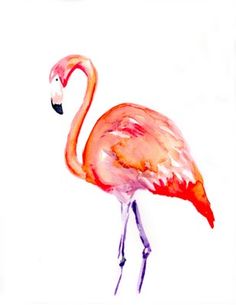 236x305 Two Flamingos, Original Watercolor Painting, 16 X 12 In, Flamingo