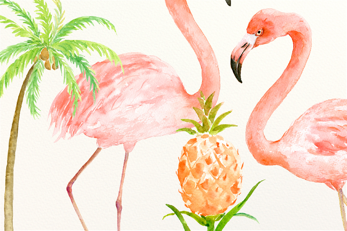 1158x772 Watercolor Clipart Flamingo Family By Cornercroft