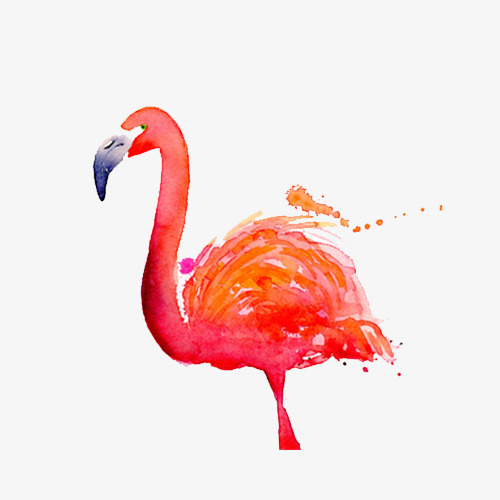 500x500 Watercolor Painted Flamingo, Hand Painted, Watercolor, Flamingos