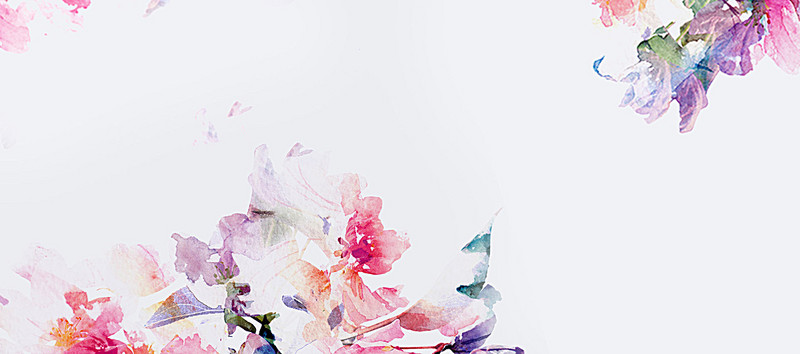 800x354 Watercolor Flowers Background, Wedding, Colorful Flowers, Flowers