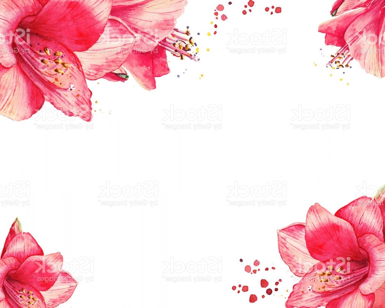 1228x984 Watercolor Floral Border For Happy New Year Christmas Cards Gm