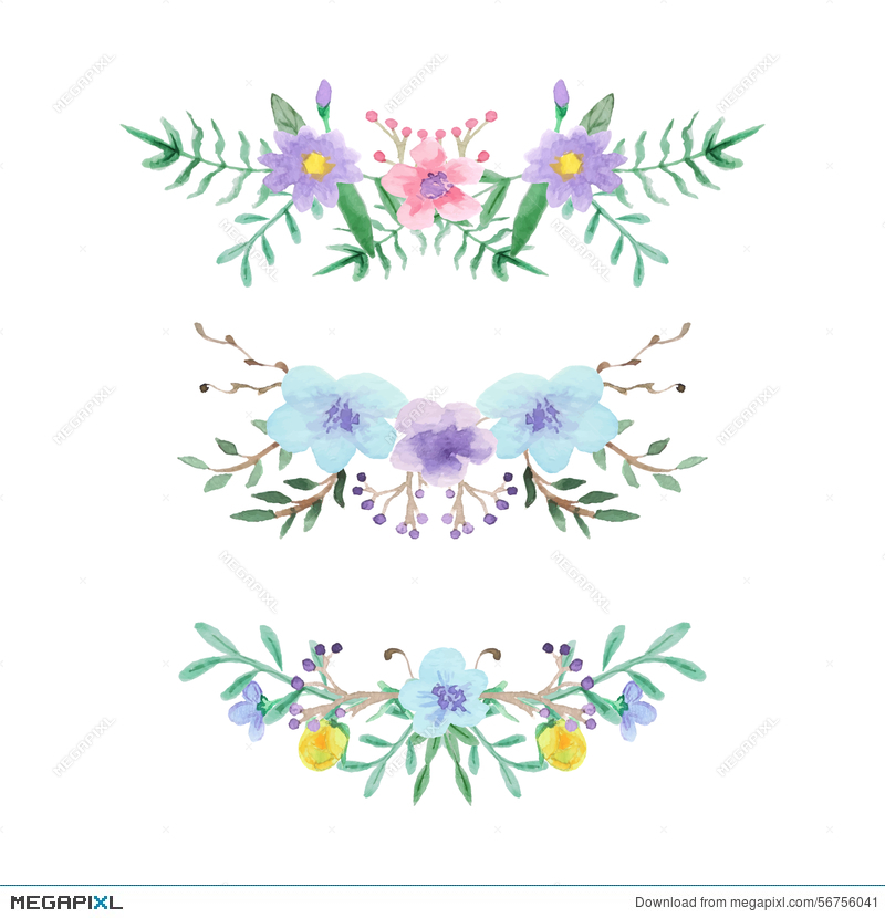 800x830 Watercolor Floral Border Set Illustration 56756041