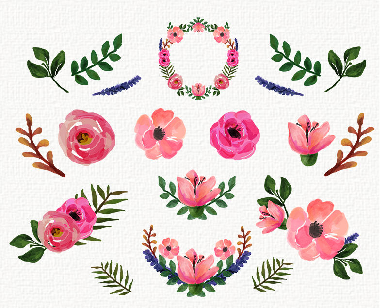 800x635 Freebies Watercolor Floral Clip Art Collection