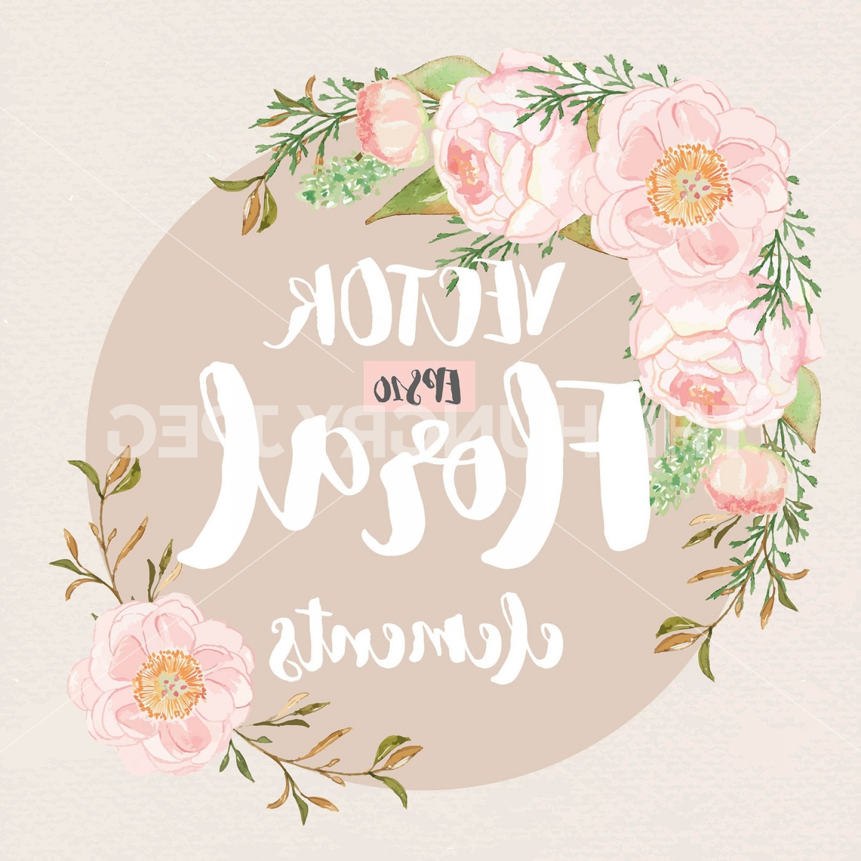 1680x1680 Vector Watercolor Rose Blush Clipart Watercolor Flower Pink Floral