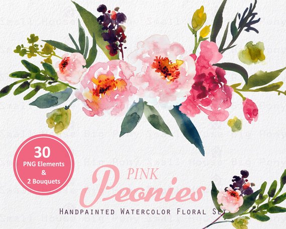 570x456 Digital Clipart Watercolor Flower Clipart Peonies Clip Art Etsy