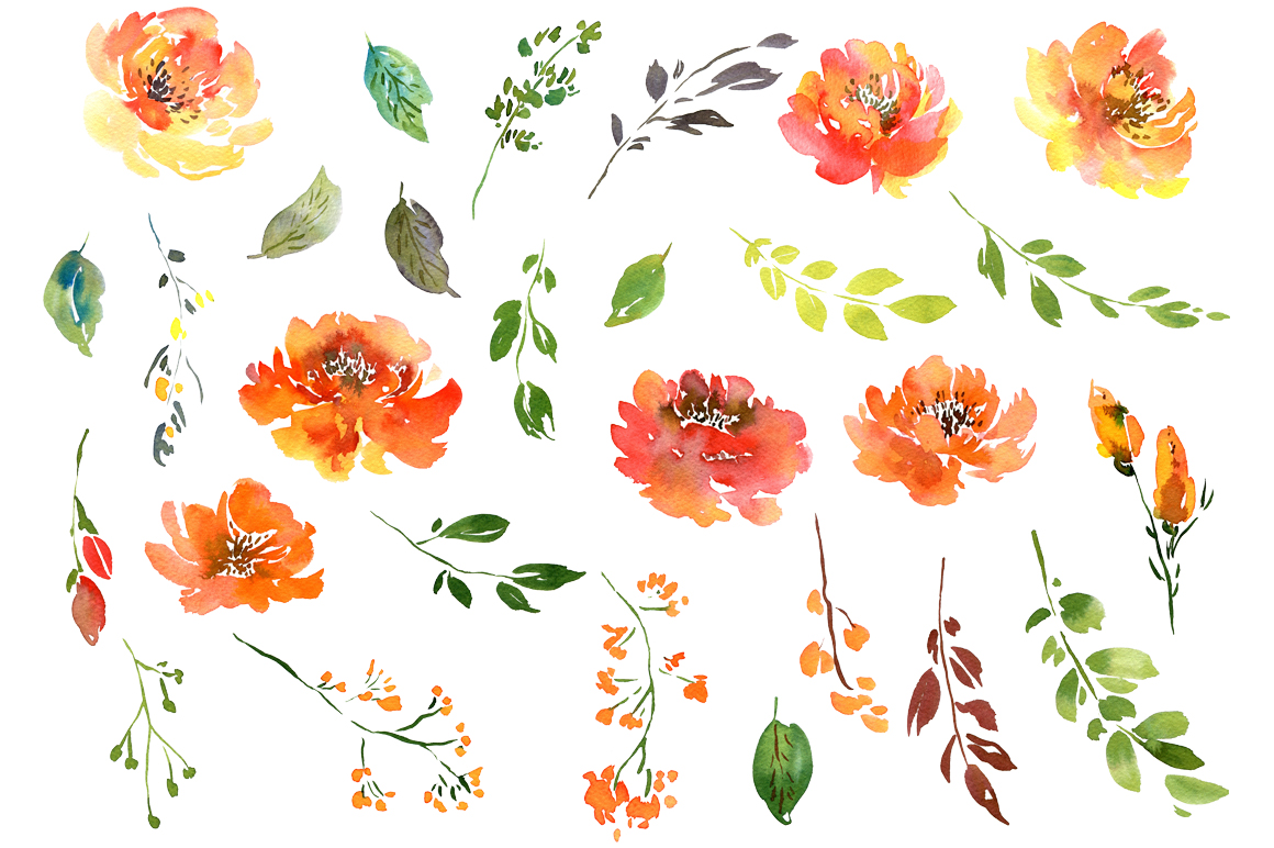 1160x772 Summer Orange Watercolor Flowers Png By Watercolorflowers