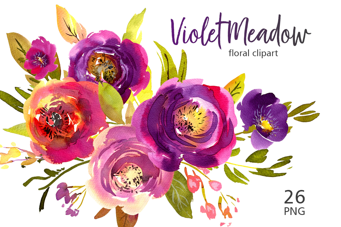 1160x772 Violet Meadow Watercolor Flowers Png