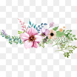 260x260 Watercolor Flower Png Amp Watercolor Flower Transparent Clipart Free