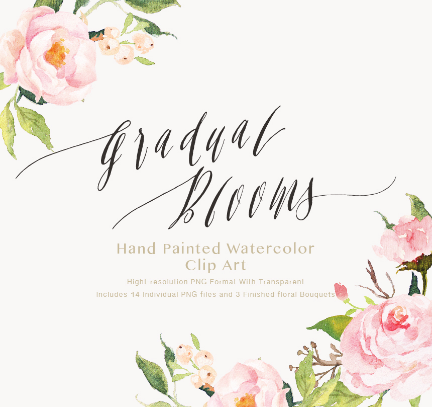 860x809 Collection Of Pink Watercolor Flowers Clipart High Quality