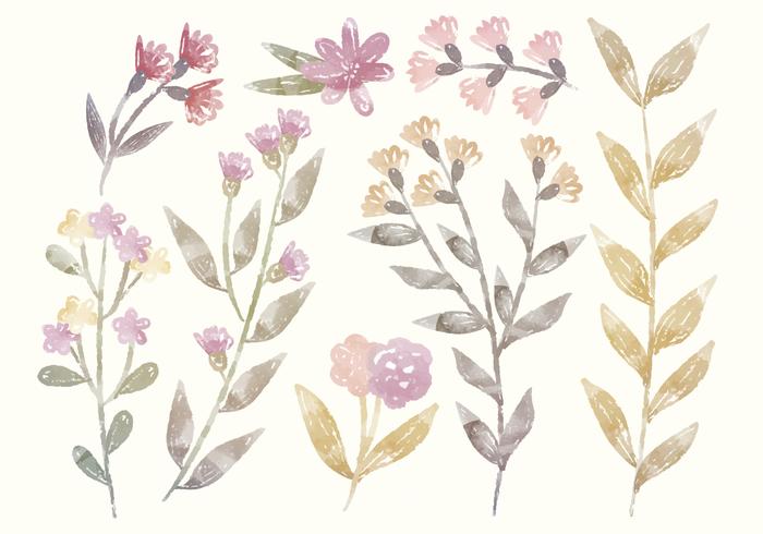 700x490 Vector Watercolor Floral Elements