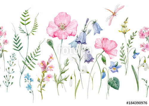 500x357 Watercolor Floral Vector Pattern Stock Image And Royalty Free