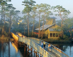 250x196 Hidden Treasure In Watercolor Florida