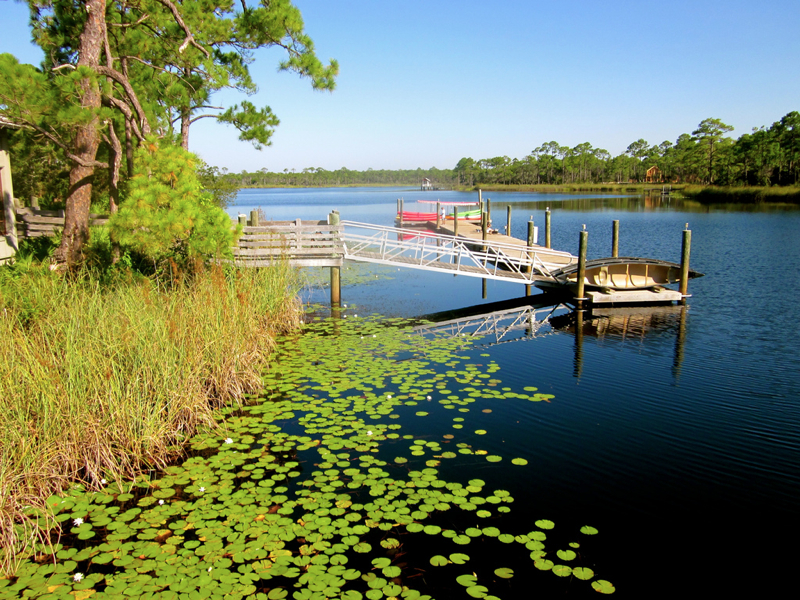 800x600 Watercolor, Florida