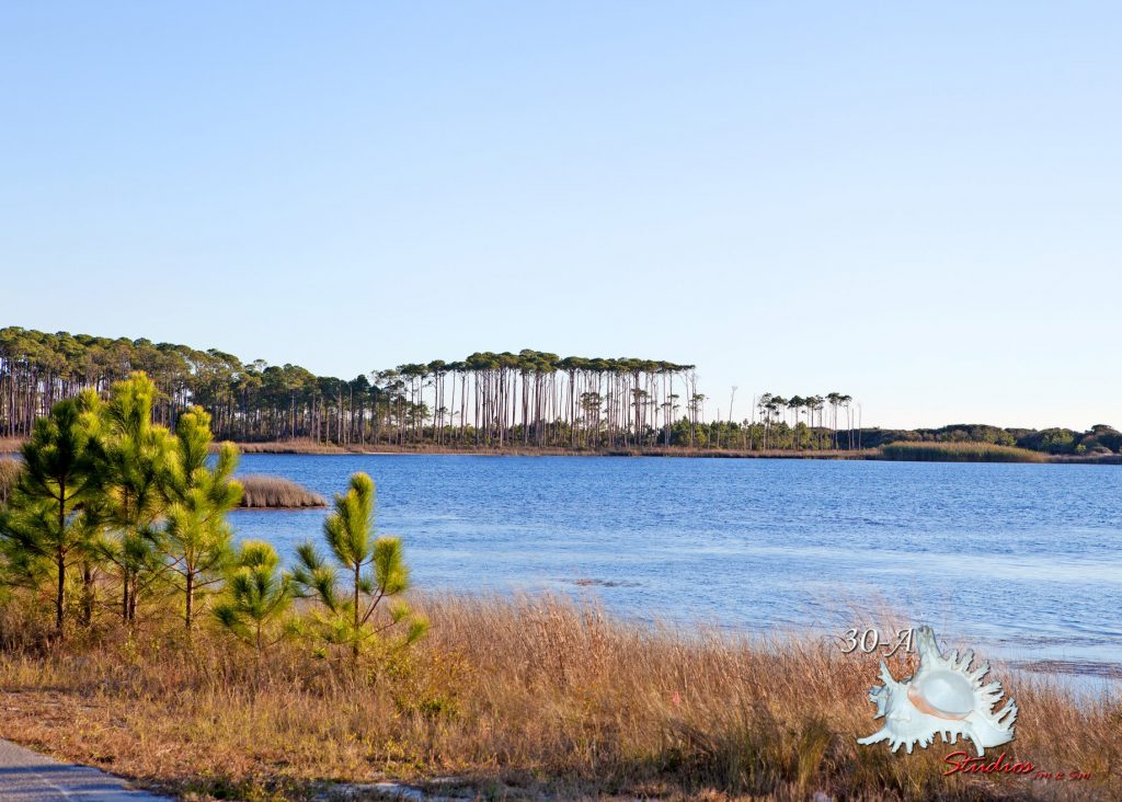 1024x732 Watercolor Florida Beach Services