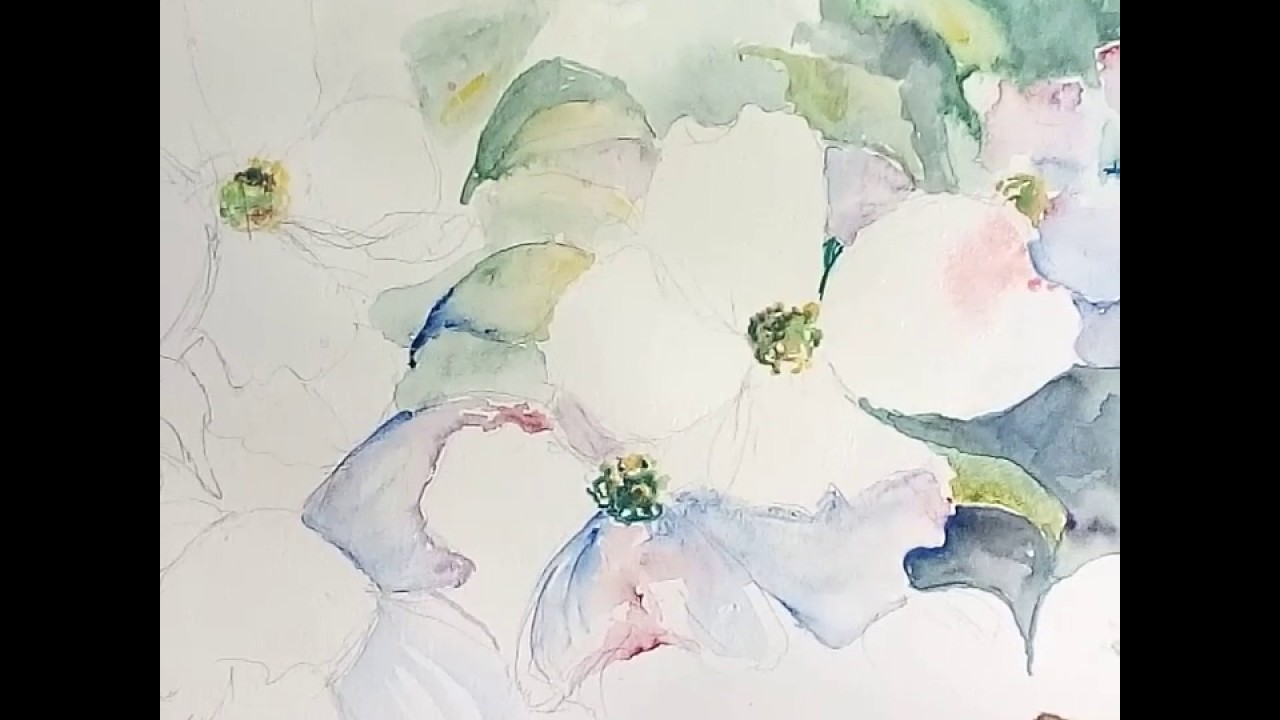 1280x720 Free Flow Watercolor Painting Of Dogwood Blooms With Hannah Tiffin