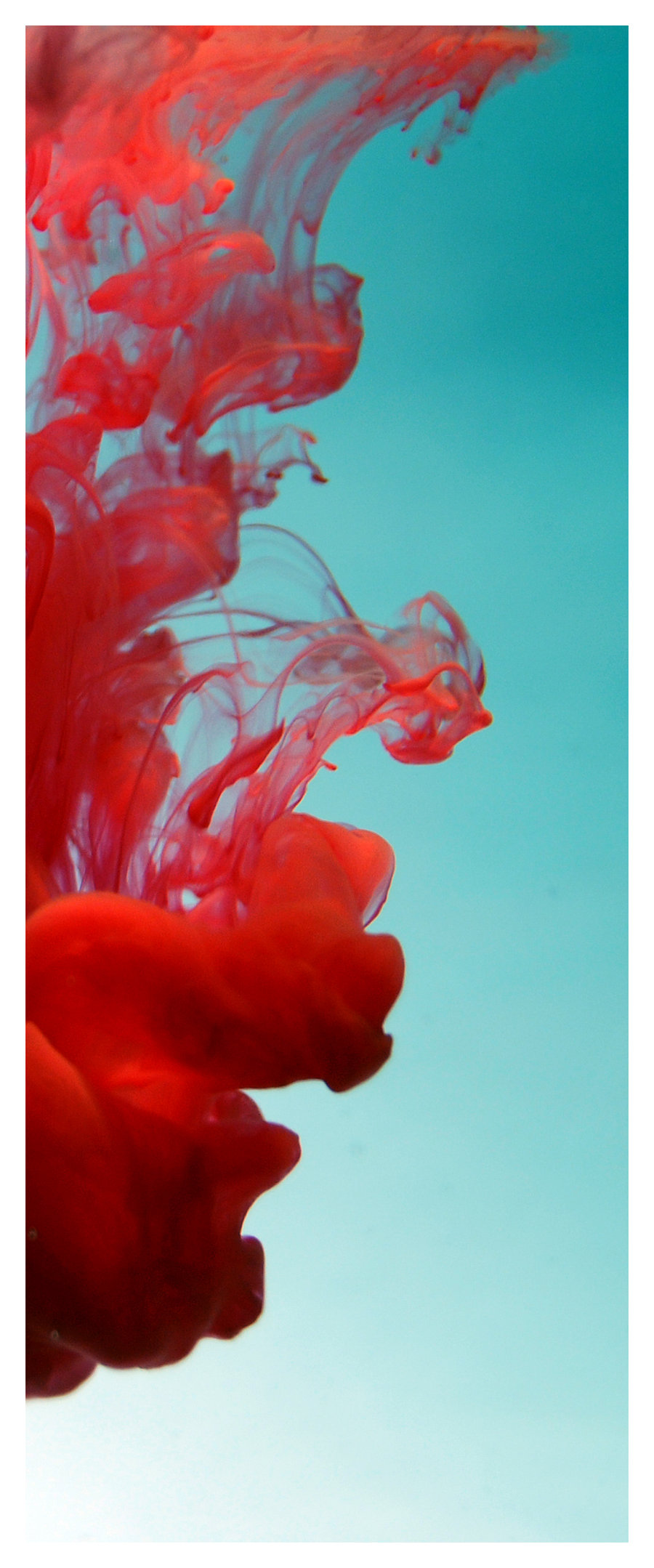 900x2158 Maclaud Alonso)